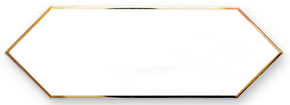 10x30 Decor Zenith Gold White 